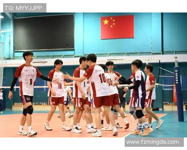 成都排球队的默契配合与战术探讨聚焦排球的团队精神与协作能力