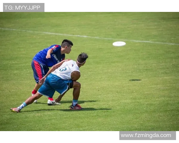 武汉飞盘队的崛起与奋斗精神探索飞盘运动的魅力与团队力量