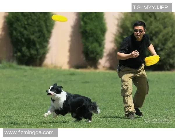 北京飞盘队在极限运动世界杯中的拼搏历程与荣耀时刻分享